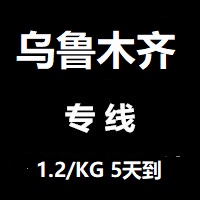 上海到乌鲁木齐物流